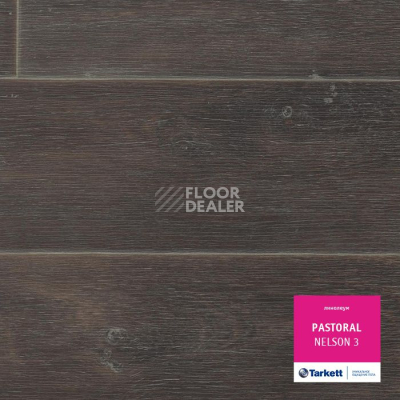 Линолеум Tarkett Pastoral NELSON 3 фото 1 | FLOORDEALER